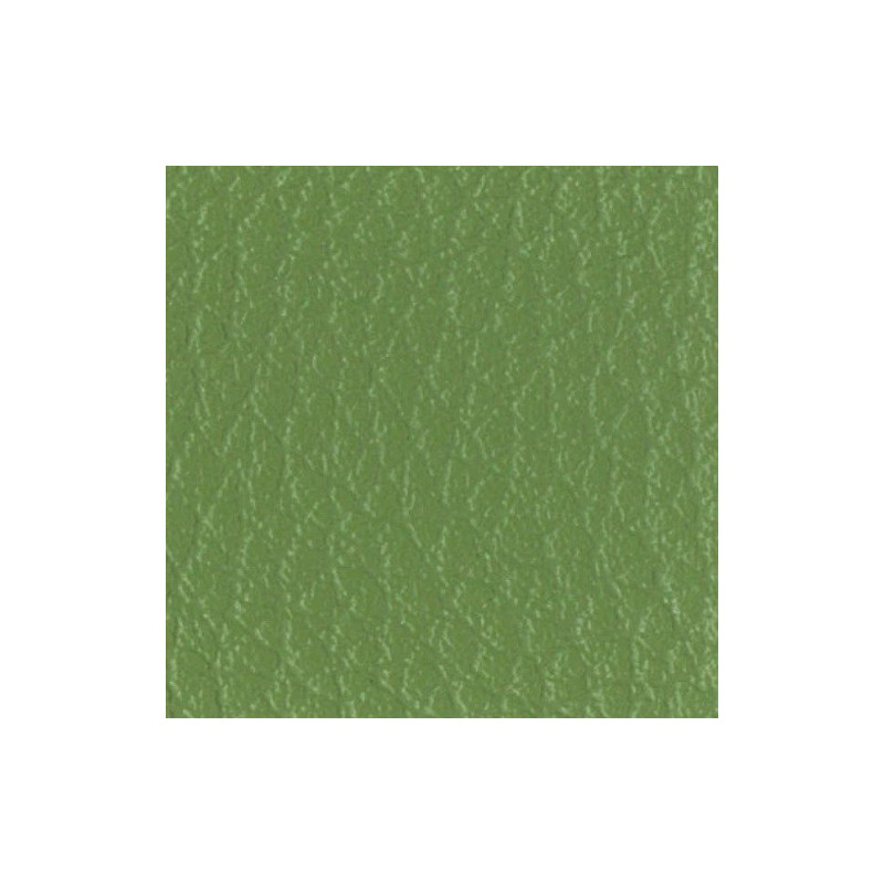 Gingko