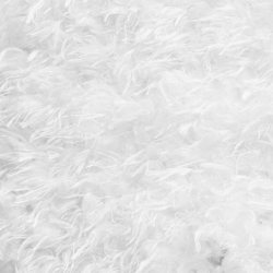 Tapis Wild blanc