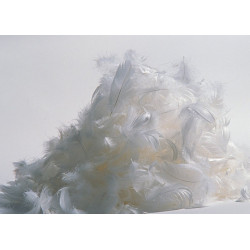 Couette plume Pyrenex