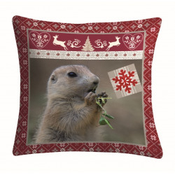 Coussin JURA